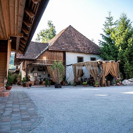 Resort Hisa Ida - Apartments With Hot Tub And Sauna Ivancna Gorica 外观 照片